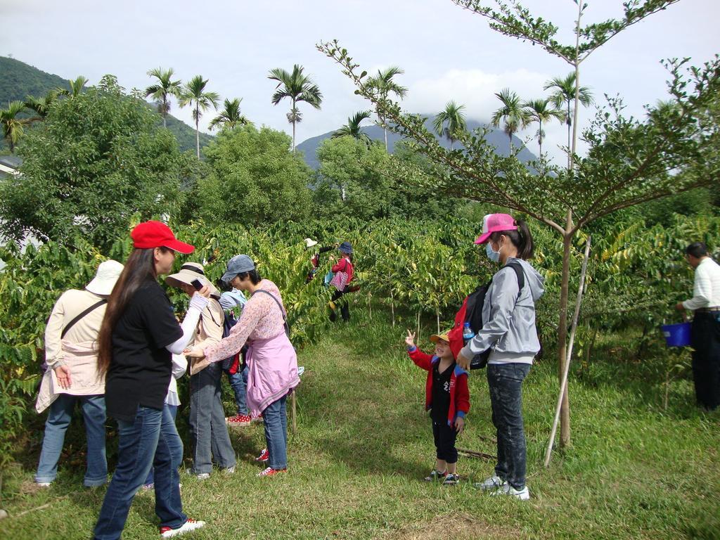 Taroko Sialin Coffee Farm Homestay Xiulin Esterno foto