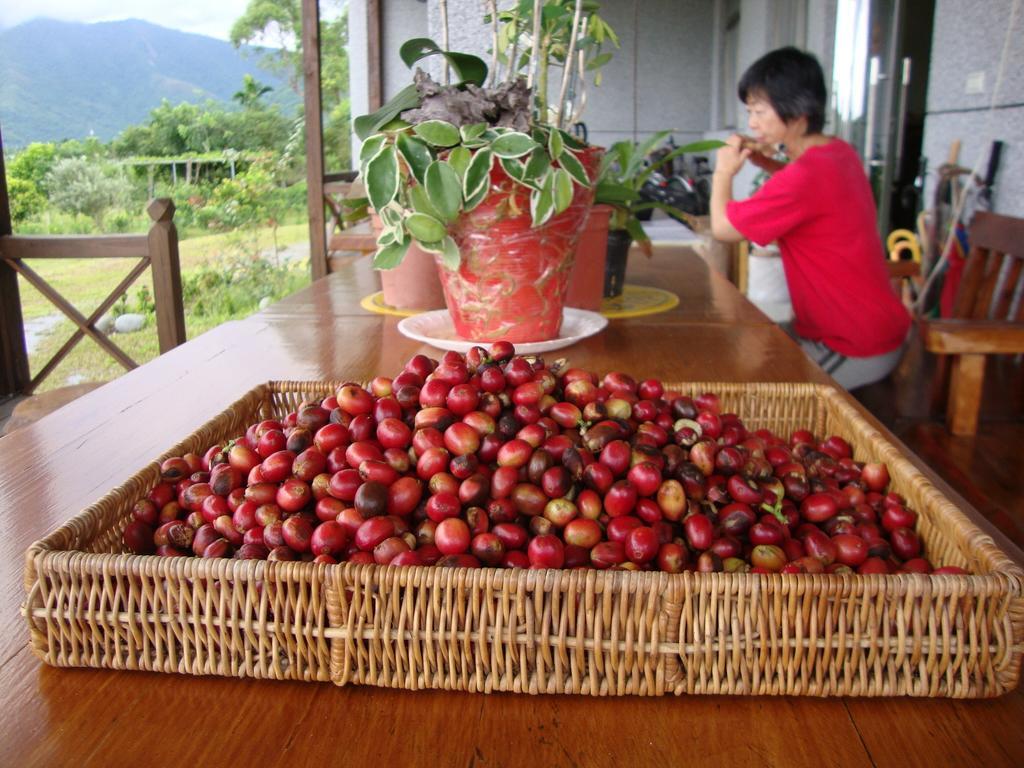 Taroko Sialin Coffee Farm Homestay Xiulin Esterno foto