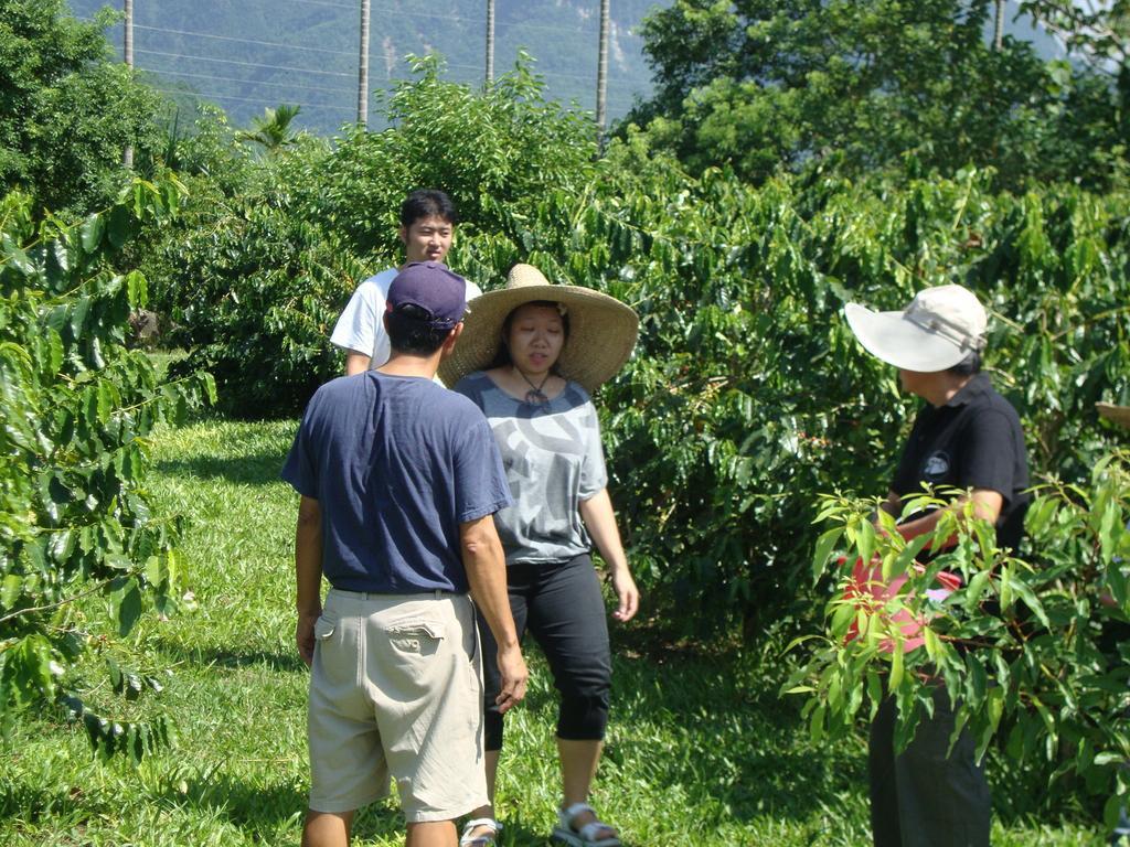 Taroko Sialin Coffee Farm Homestay Xiulin Esterno foto